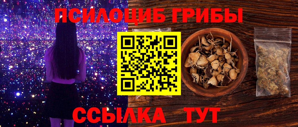 Псилоцибиновые грибы GOLDEN TEACHER Люберцы
